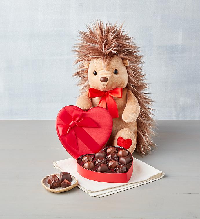 Porcupine Plush and Chocolate Gift